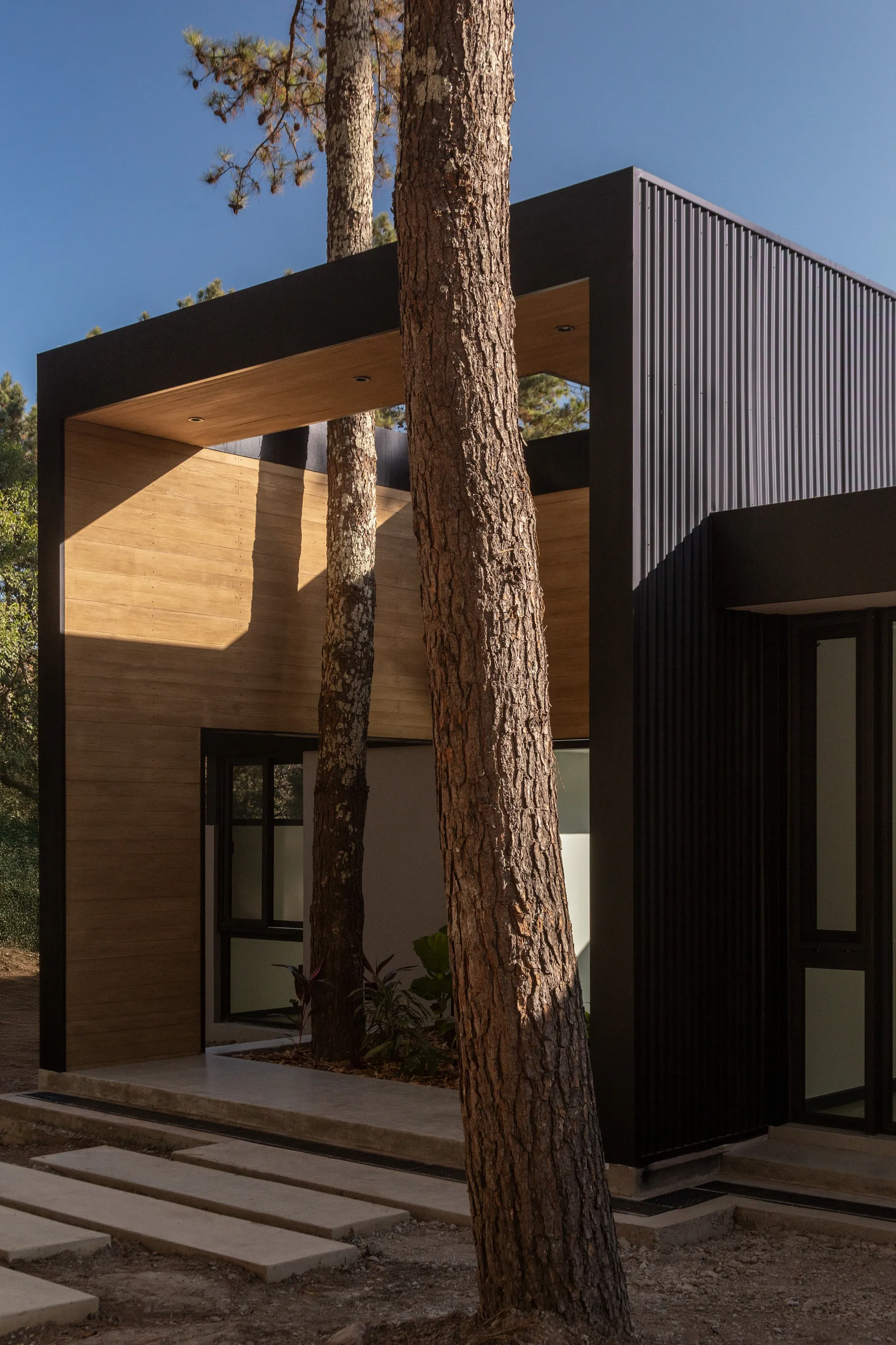 Casa Entre Arboles 9